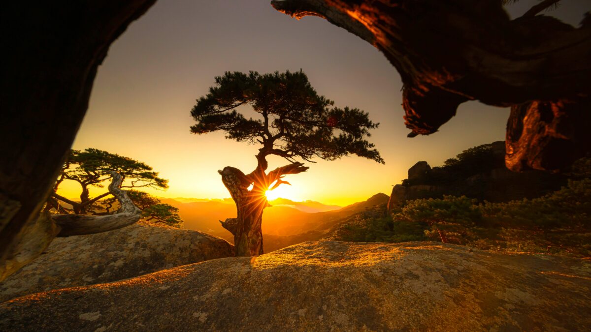 pexels-kyaw-thuwai-2157988058-35082978